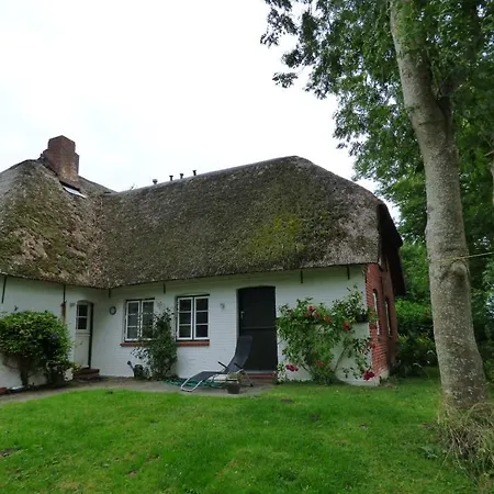 Wasserkoog 22 Holiday home Tetenbull