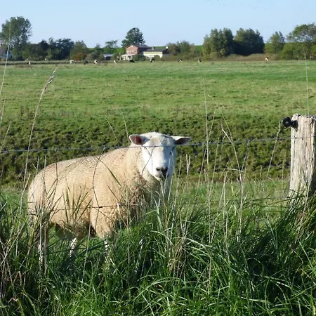 Wasserkoog 22 Tetenbull